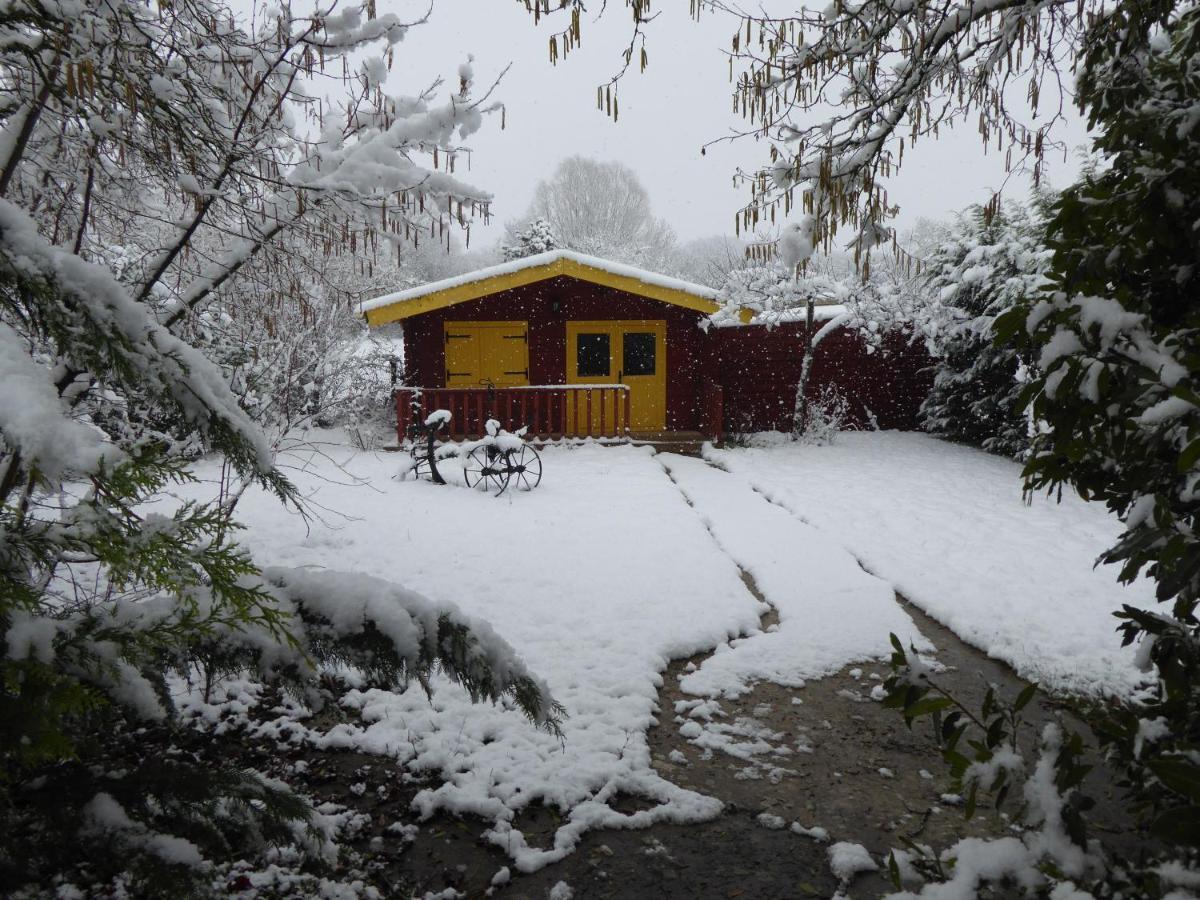Chalet Aux Pied Des Vignes Montigny  Eksteriør billede